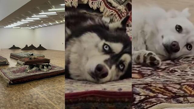 Exposición 'Casts' de Nina Beier en el Museo Tamayo