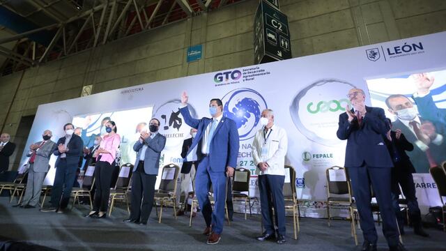 Gobernador de Guanajuato