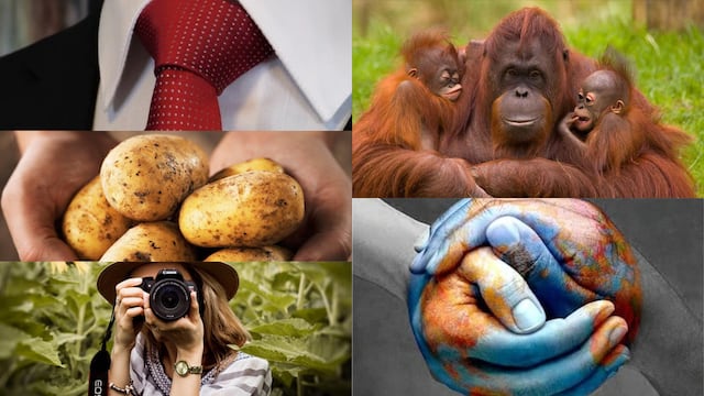 Efemérides del 19 de agosto