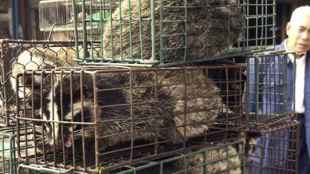 Animales salvajes en China. Prohibición.
