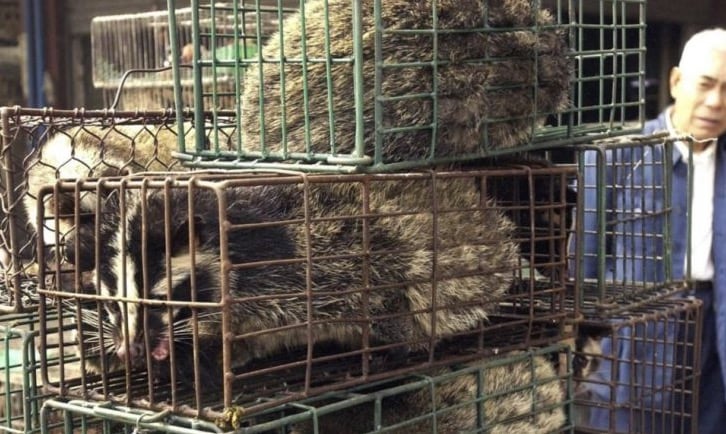 Animales salvajes en venta en China