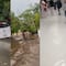 VIDEOS: Lluvias en Chiapas, Yucatán y Tamaulipas provocan inundaciones y desbordamiento de ríos
