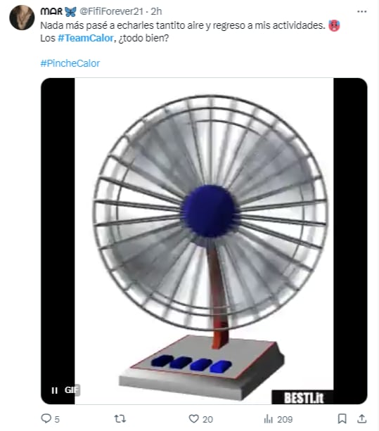 Memes por las altas temperaturas