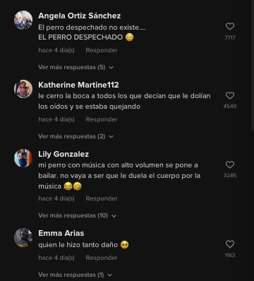 Usuarios de TikTok vuelven a reaccionar al video del perrito aullando la canción 'Qué agonía'
