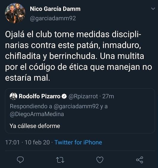 El aficionado pidió una sanción para Pizarro