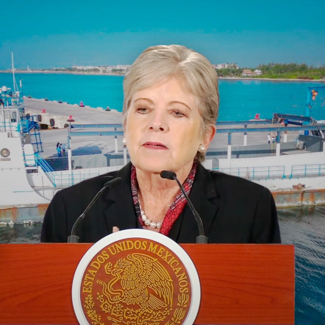 La apuesta de Alicia Bárcena: convertir los barcos sargaceros en una nueva industria
