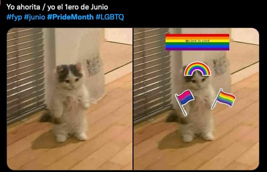 Meme pride month.
