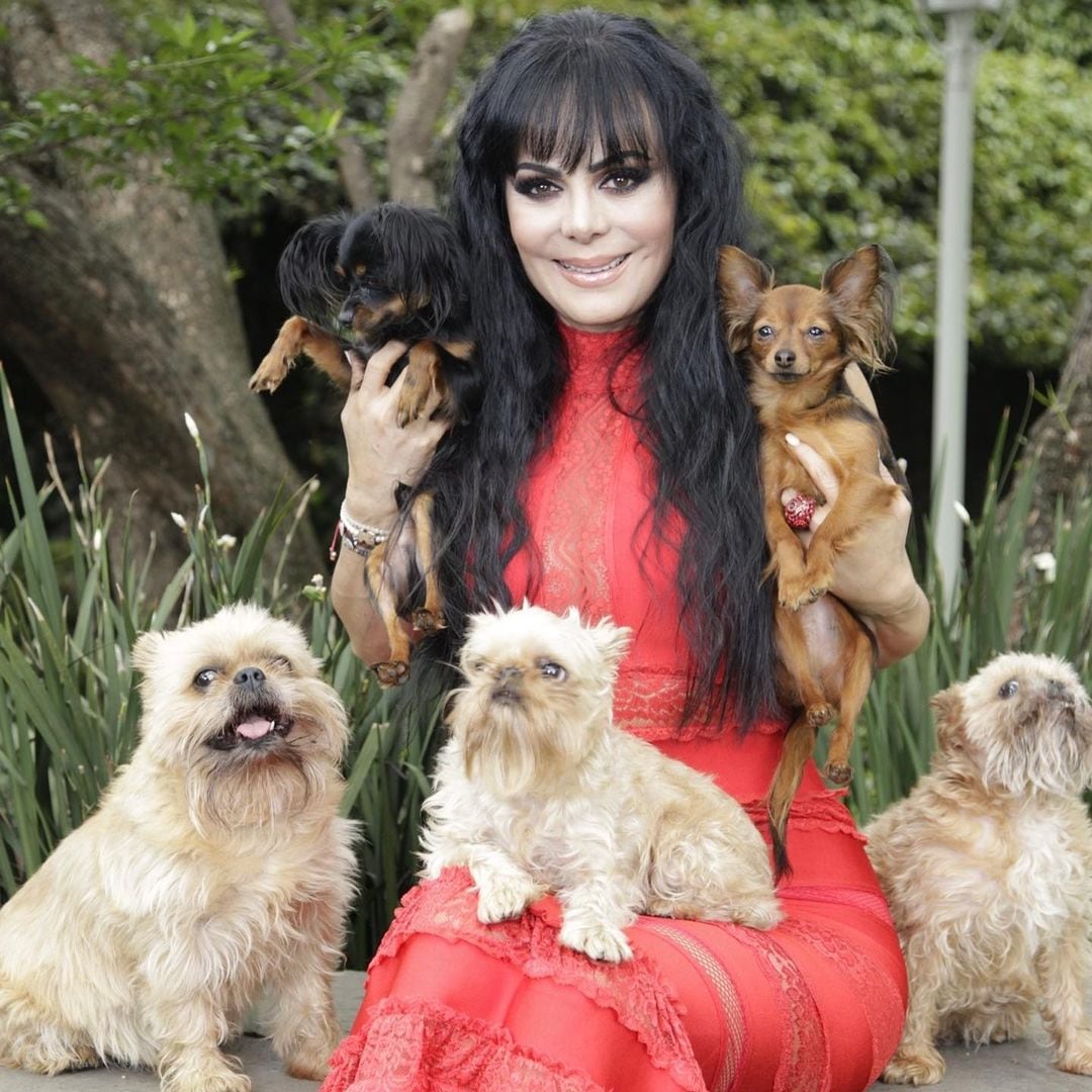 Maribel Guardia y su perrita Paris