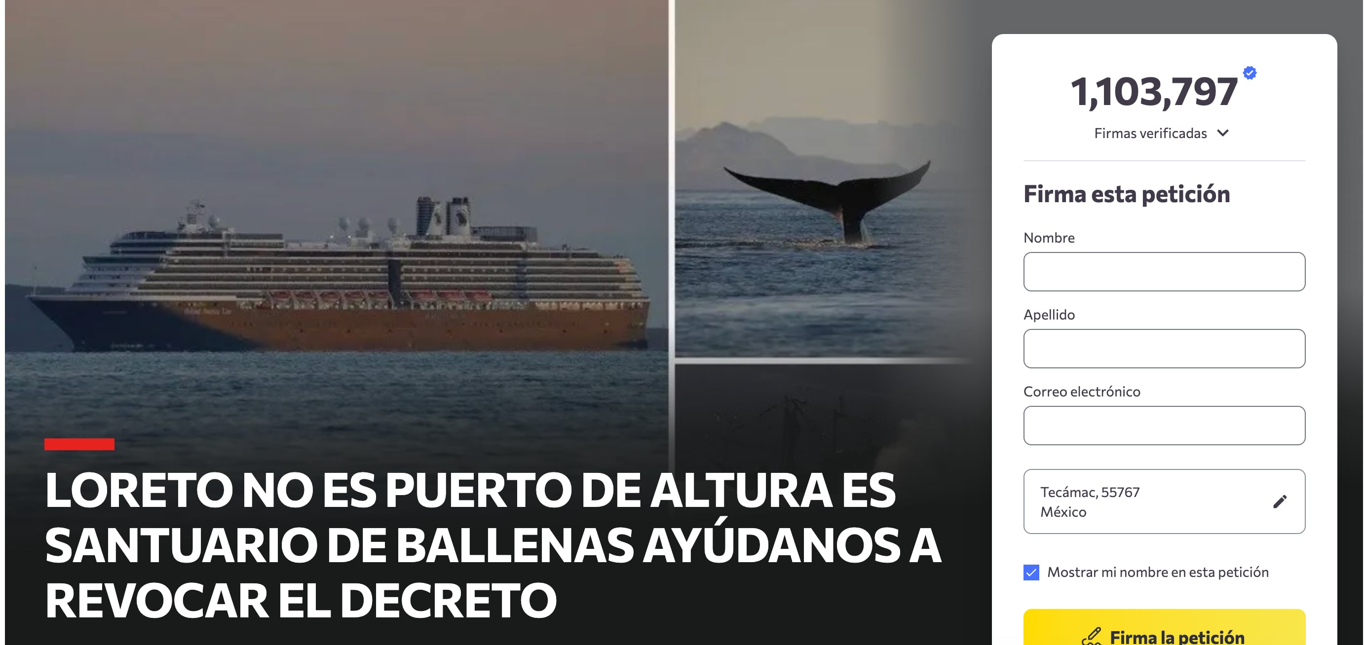 Petición en Change.Org contra decreto que pone riesgo a ballenas en Loreto