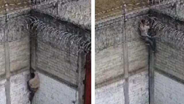 El Chapito de Tenejapa