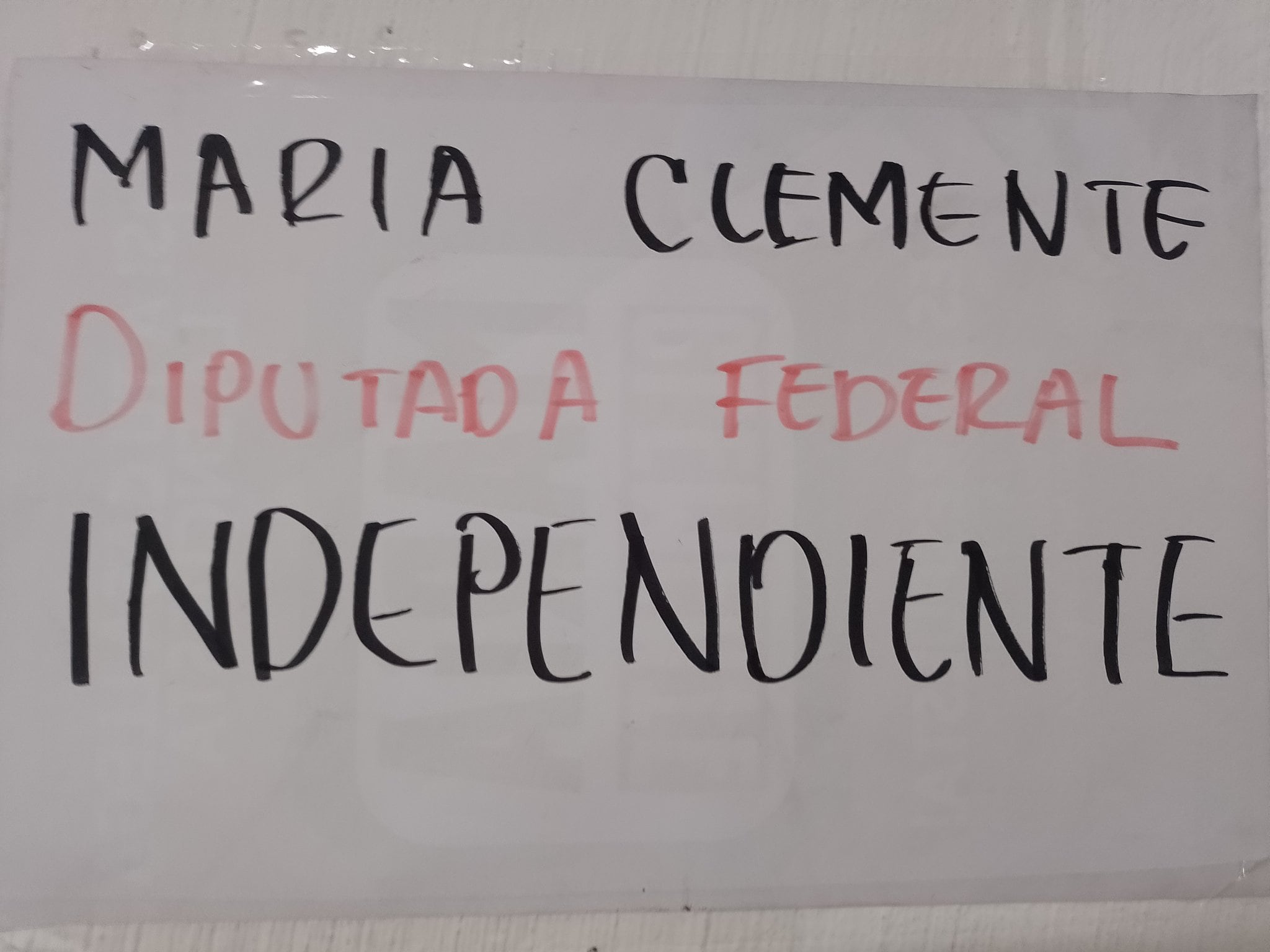 María Clemente abandona Morena y se declara diputada independiente