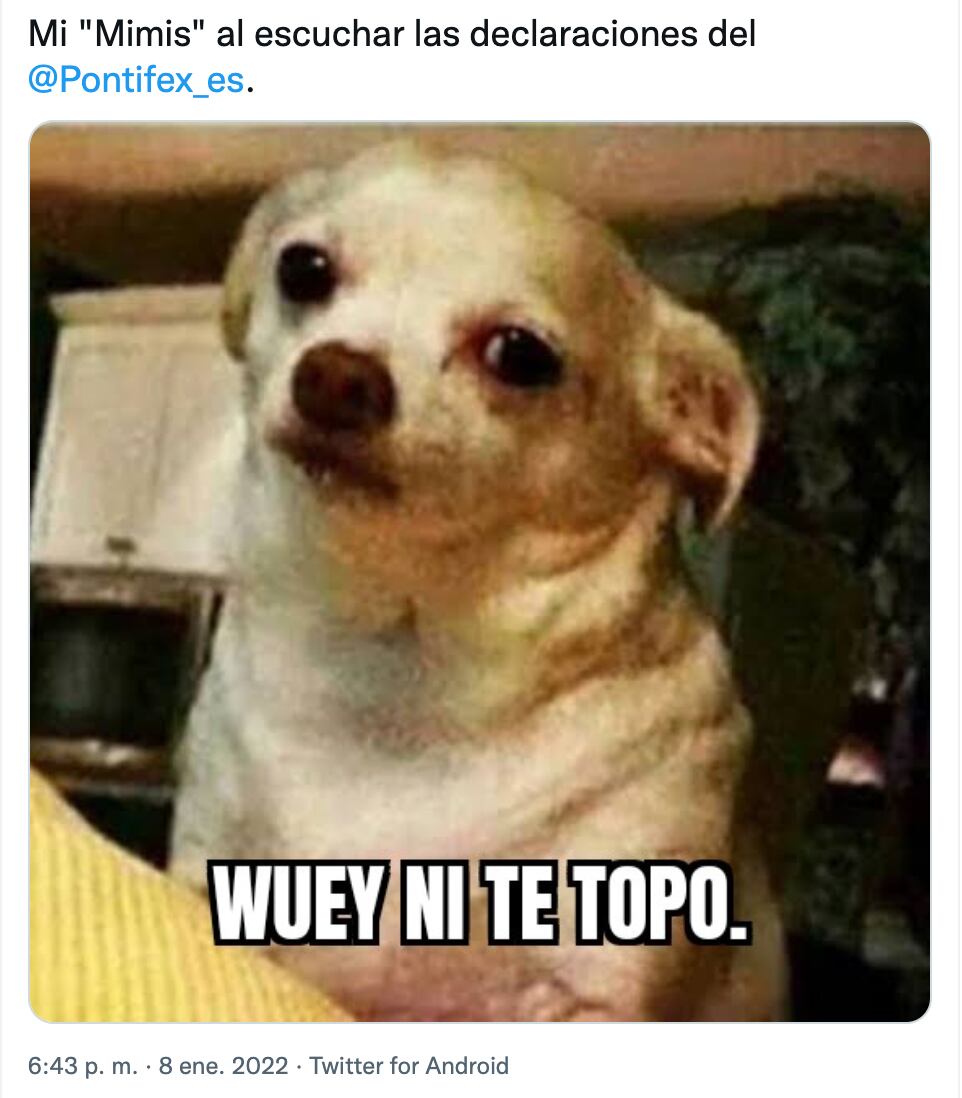 Meme del Papa Francisco y las mascotas