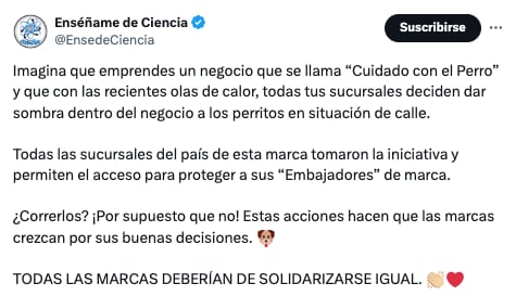 Cuidado con el Perro