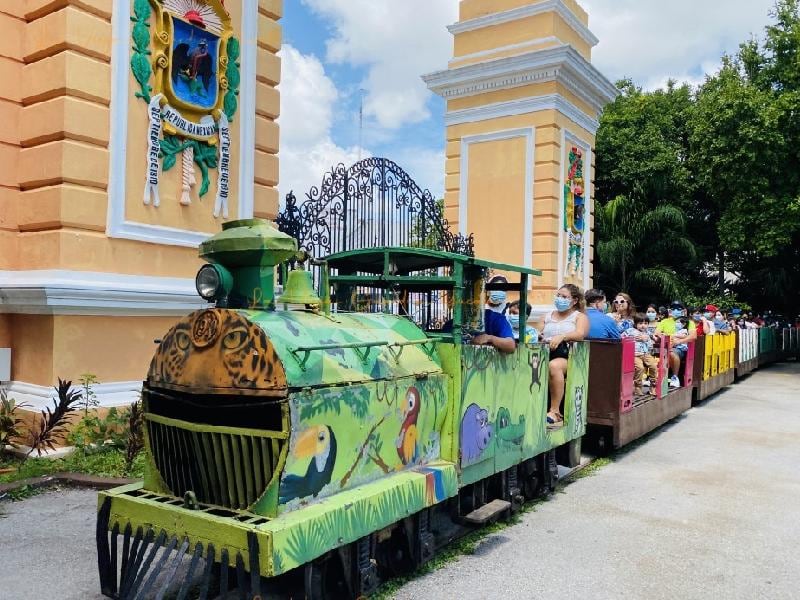 Trenecito en Zoológico el Centenario se descarrila