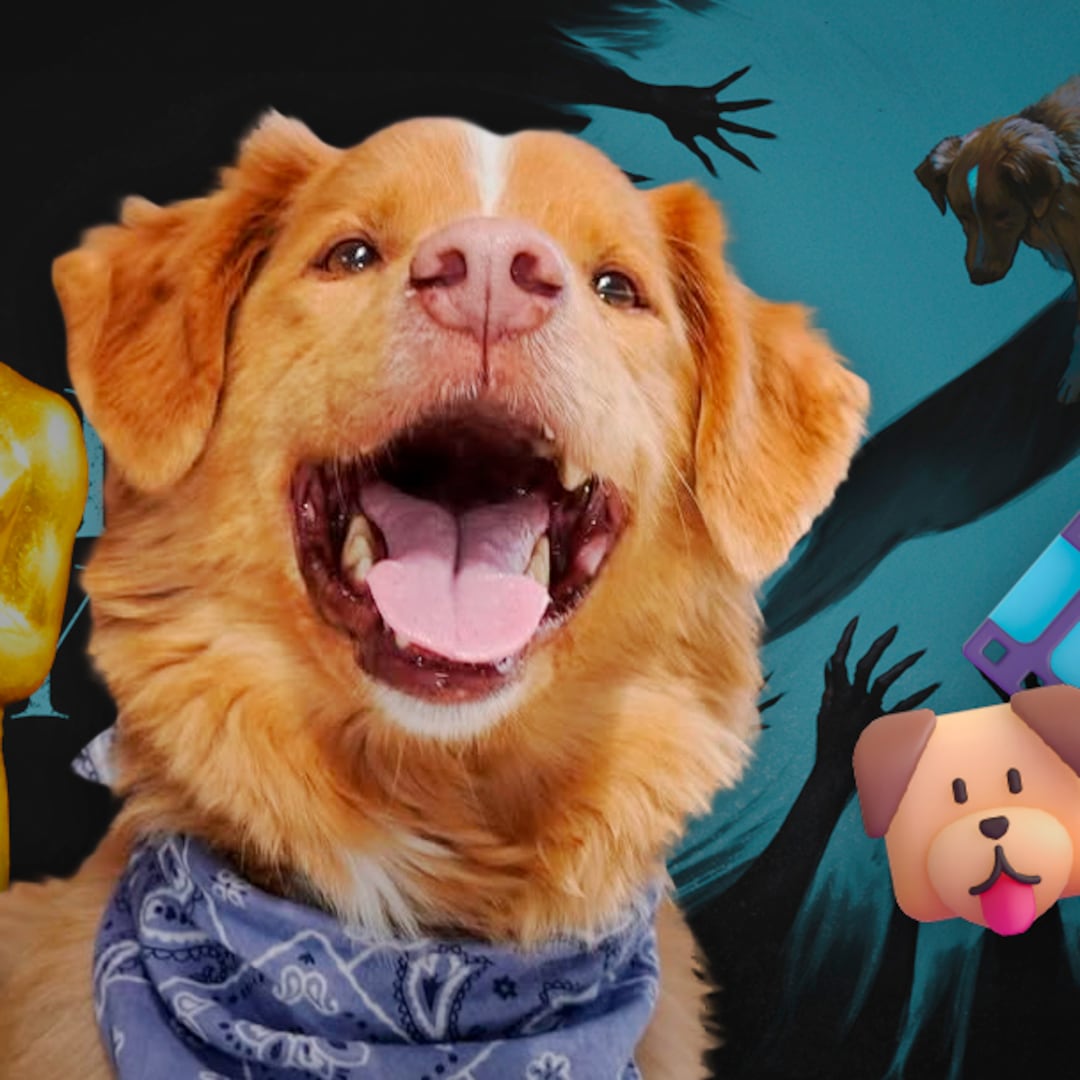 El increíble logro del perro de “Good Boy”: primera nominación a Mejor Actor para un animal
