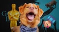 El increíble logro del perro de “Good Boy”: primera nominación a Mejor Actor para un animal