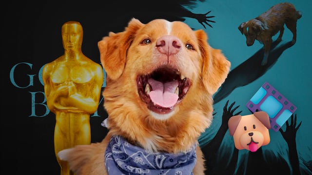 Indy, perro de ‘Good Boy’