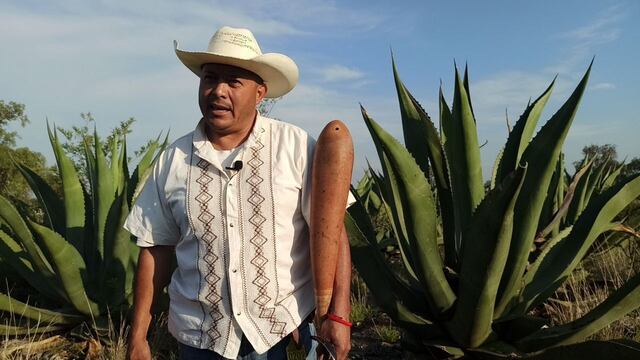 Hidalgo celebra el Día nacional del Pulque