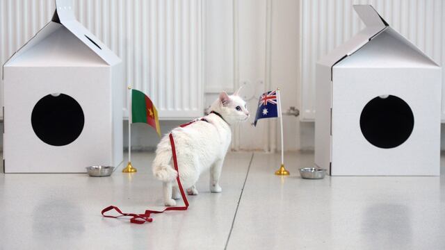 Aquiles será el encargado de pronosticar los duelos del Mundial