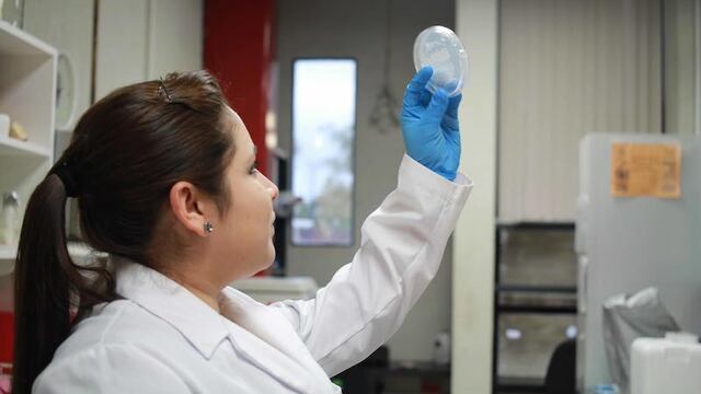 Seguridad social en México. Seguro Popular se volverá Instituto de Salud para el Bienestar