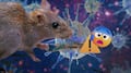Alertan por cepa de hantavirus que podría permanecer oculta durante seis años