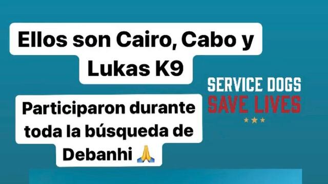 Perros que participaron en la búsqueda de Debanhi Escobar