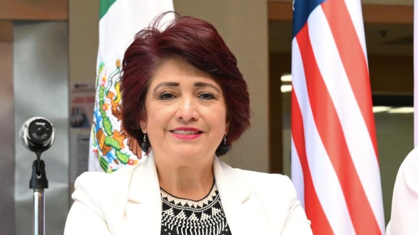 ¿Quién es Patricia Avendaño Durán? Consejera presidenta del IECM