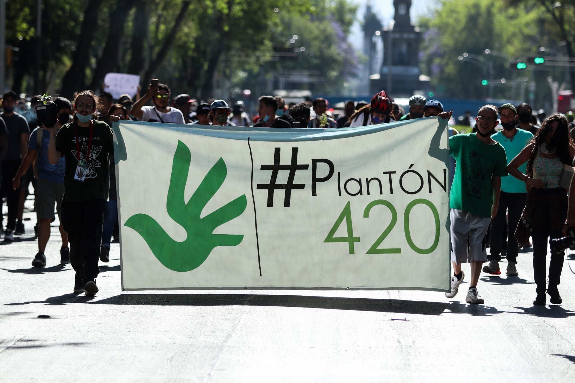 Aprobación de la marihuana