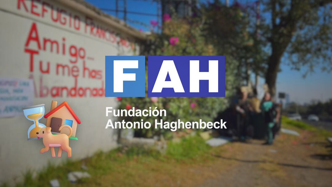 Fundación Haghenbeck tiene plazo para devolver Refugio Franciscano