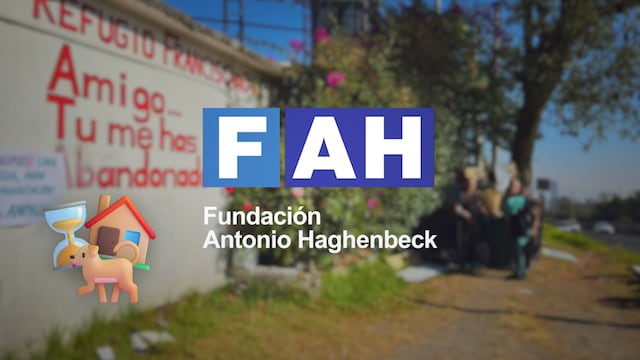 Fundación Haghenbeck debe devolver el predio al Refugio Franciscano.