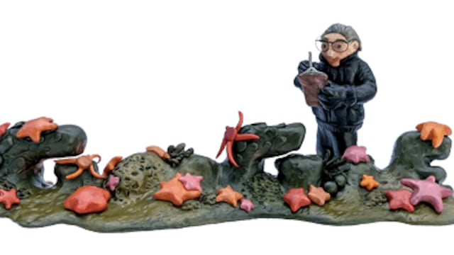 Irene Bernasconi en el doodle de Google