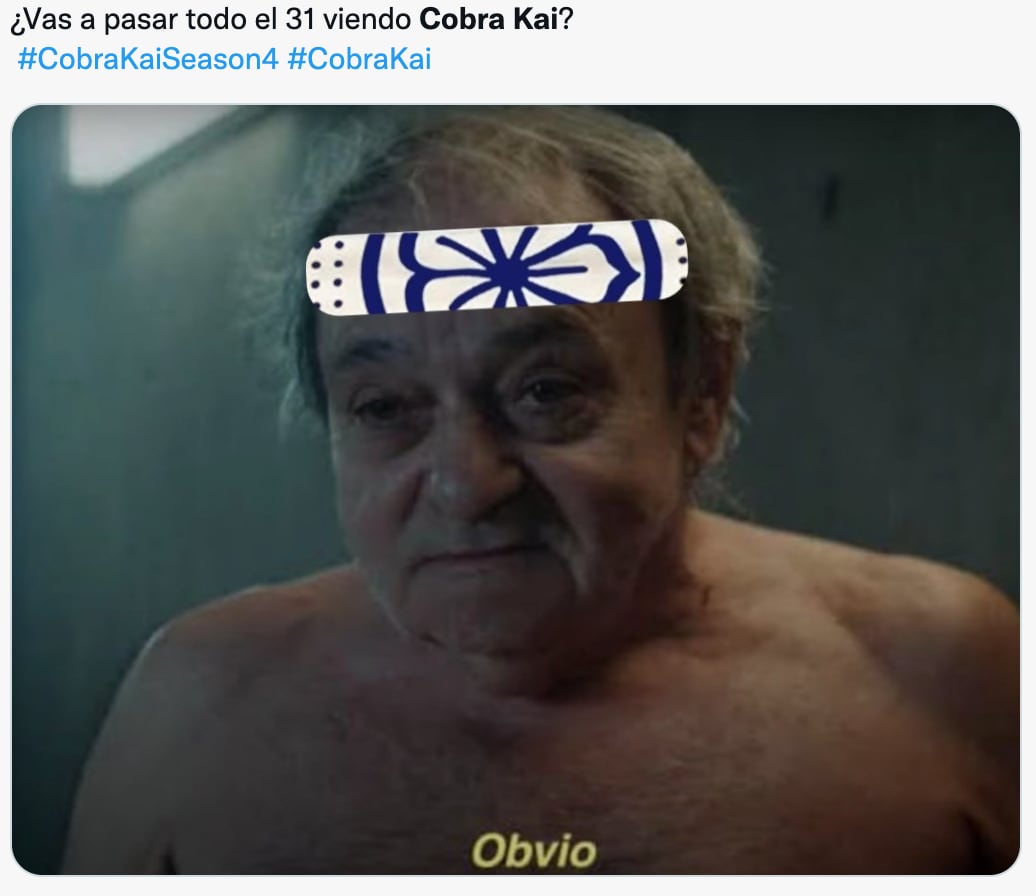 Memes del estreno de 'Cobra Kai'