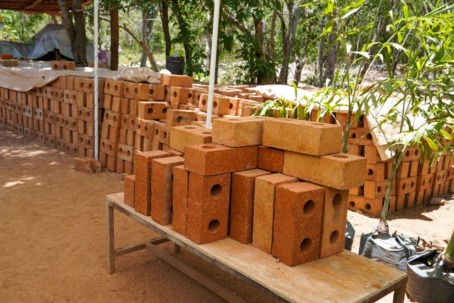 Sarga Block transforma el sargazo recolectado en tabiques de construcción, un material elaborado mediante un proceso de bajo impacto ambiental