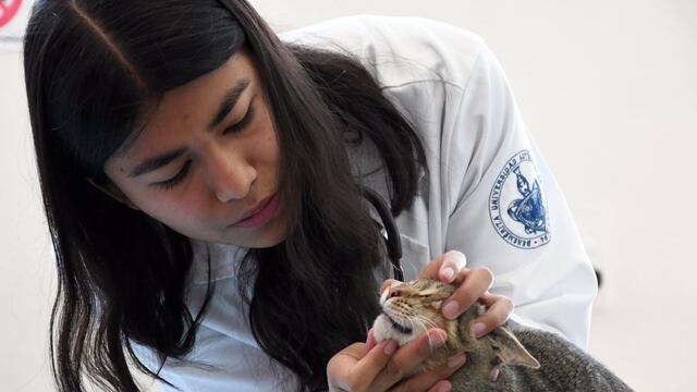 Hospital Veterinario para Pequeñas Especies de la BUAP