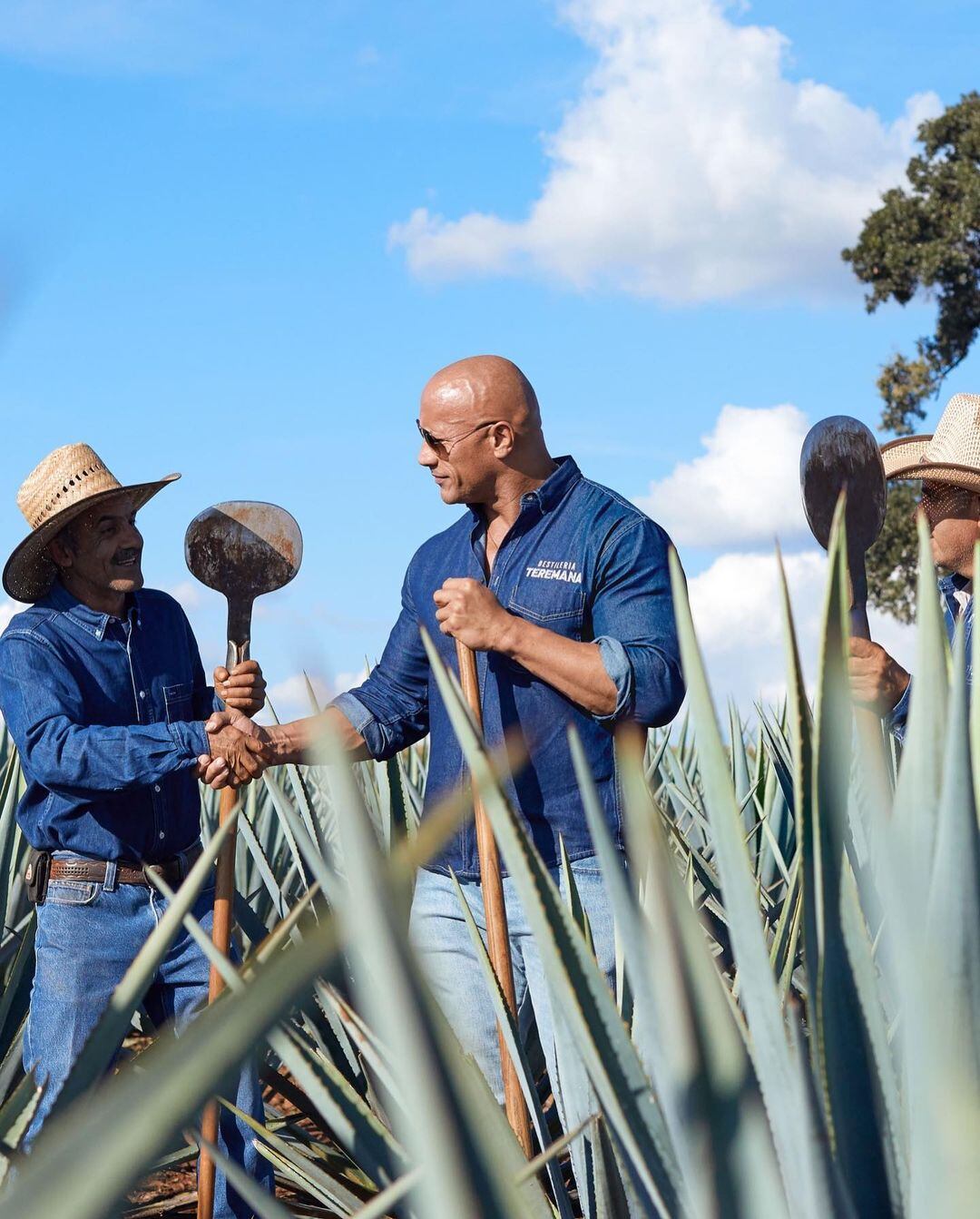 Dwayne Johnson, 'La Roca'