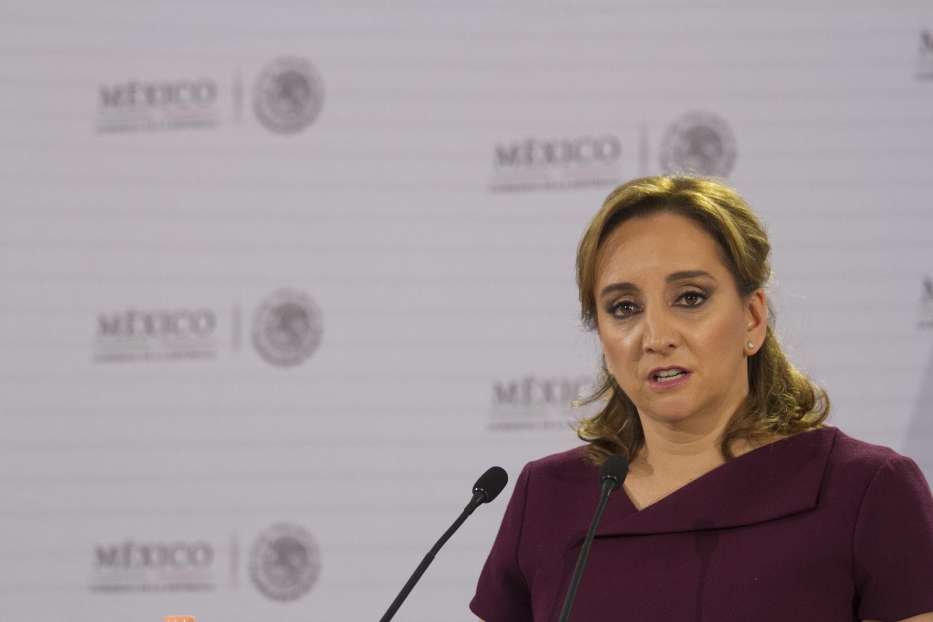 Claudia Ruiz Massieu Salinas