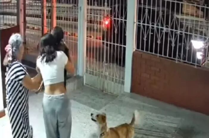 Perrito perdido vuelve a casa
