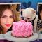 Sofia Vergara y Joe Manganiello no se divorciaron desde el amor; ahora se pelean por el perro