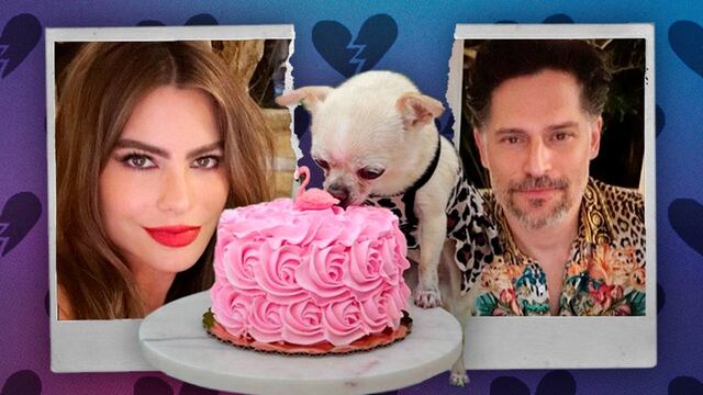 Sofia Vergara y Joe Manganiello pelearan por la custodia de su mascota