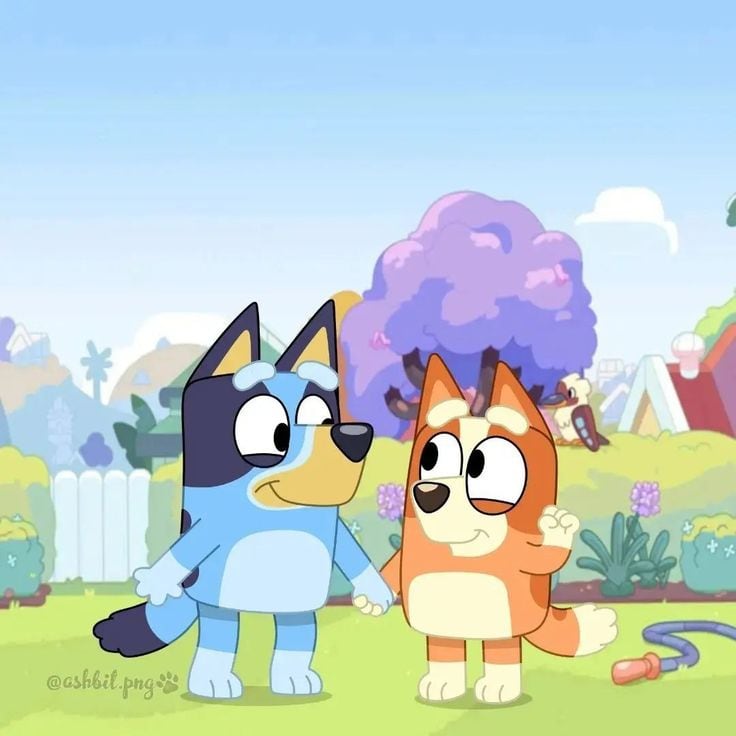 Bluey y Bingo