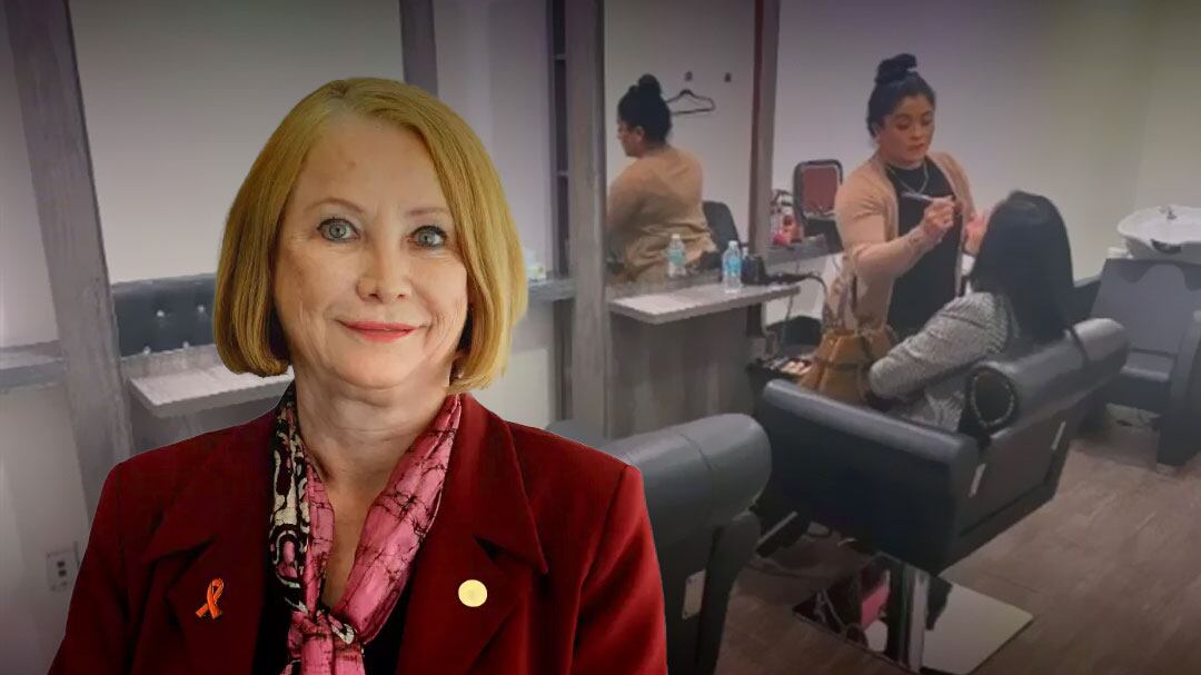 Laura Itzel Castillo y el salón de belleza del Senado: la frase que generó debate