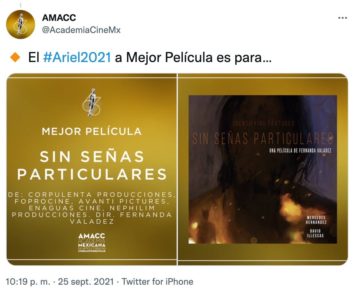 Sin señas particulares, Premios Ariel 2021