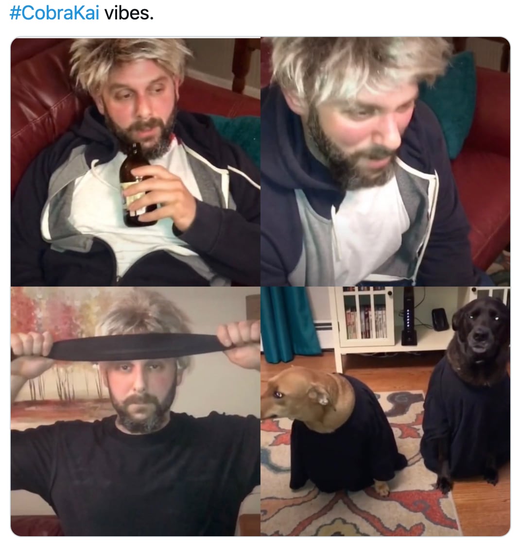 Memes del estreno de 'Cobra Kai'