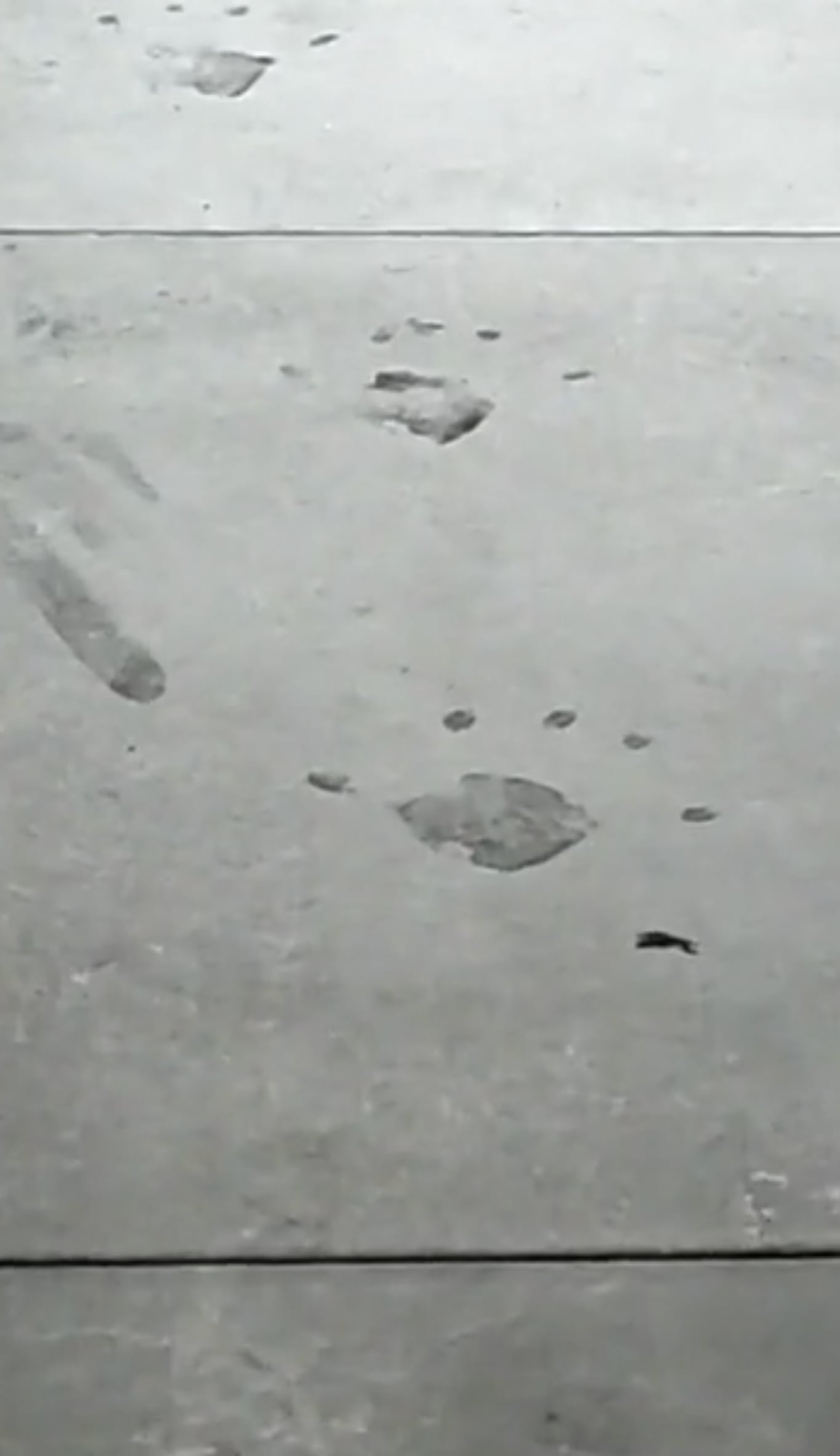 Niño fantasma de TikTok