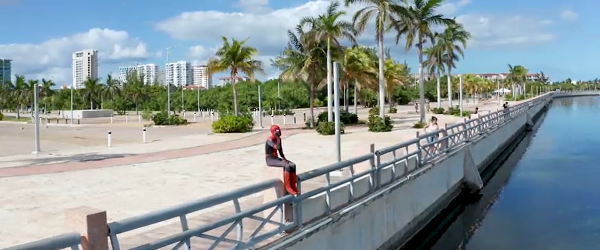 Spider-Man