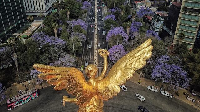 ¿Doble hoy no circula?
