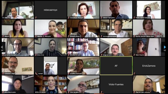 Reunión virtual CCE y senadores del PAN