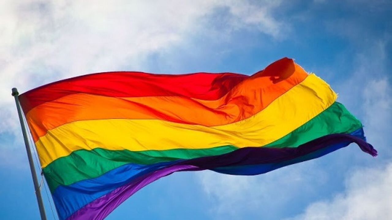 En el mes de junio las calles de distintos países se tiñen de colores con una llamativa bandera con el fin de conmemorar “el orgullo ante la diversidad sexual