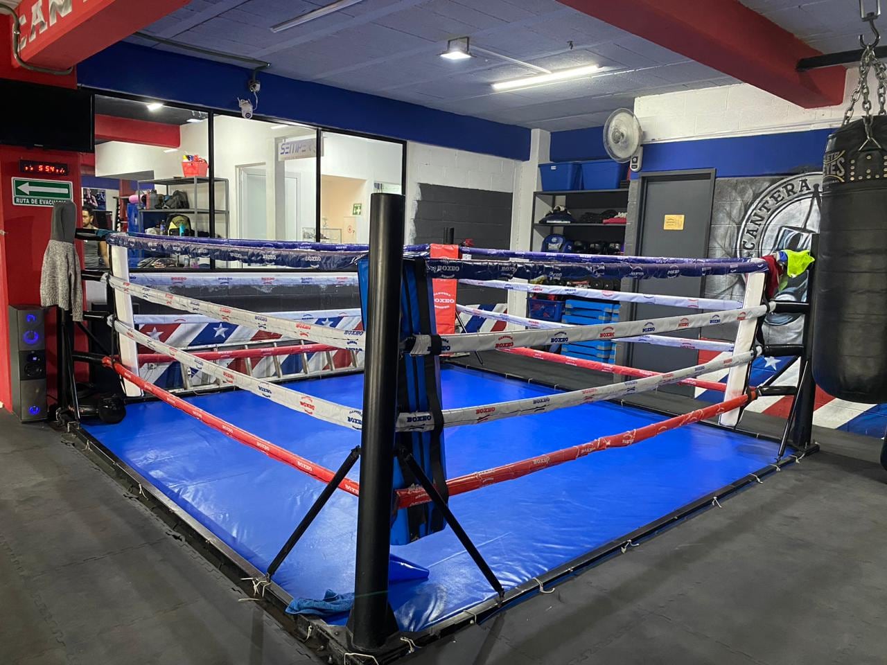 Semper, escuela de box Cuautitlán Izcalli