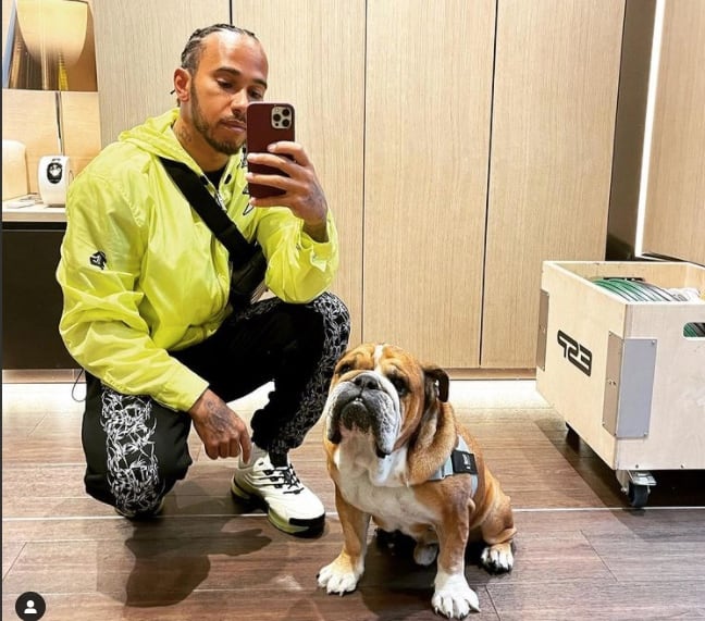 Lewis Hamilton y Roscoe